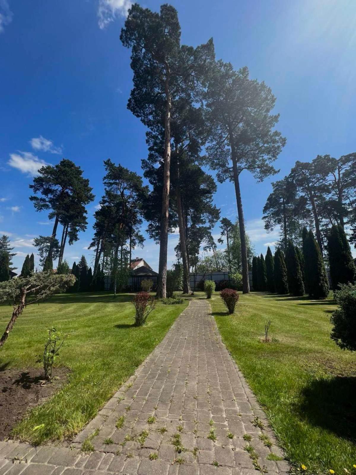 Borovik Hotel Novoszilki Kültér fotó